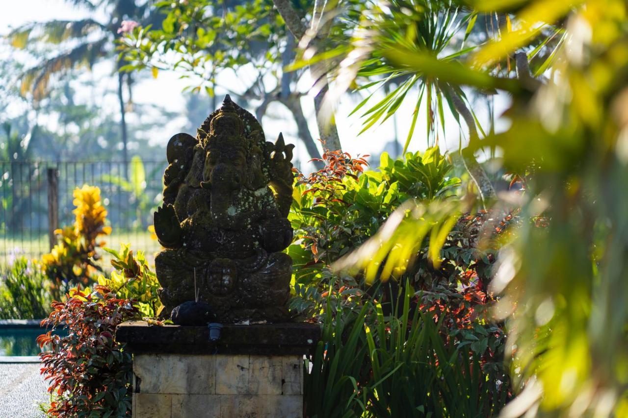 Villa Mandi Ubud Экстерьер фото